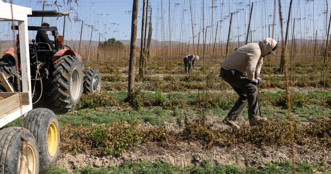 Tariffs Start to Bite US Farmers and Ag Suppliers