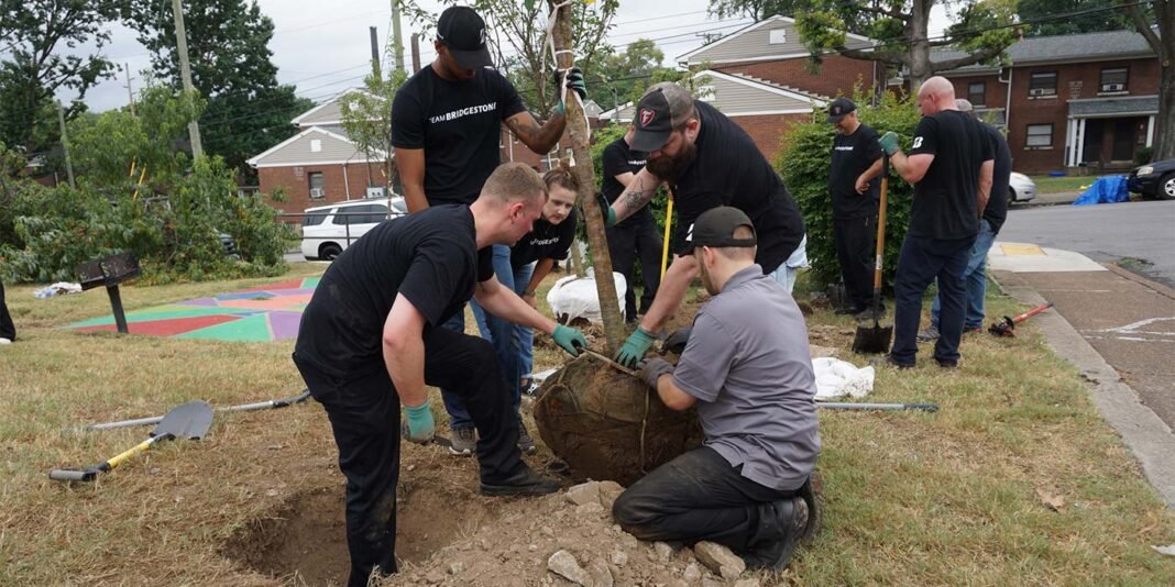 Bridgestone App Campaign