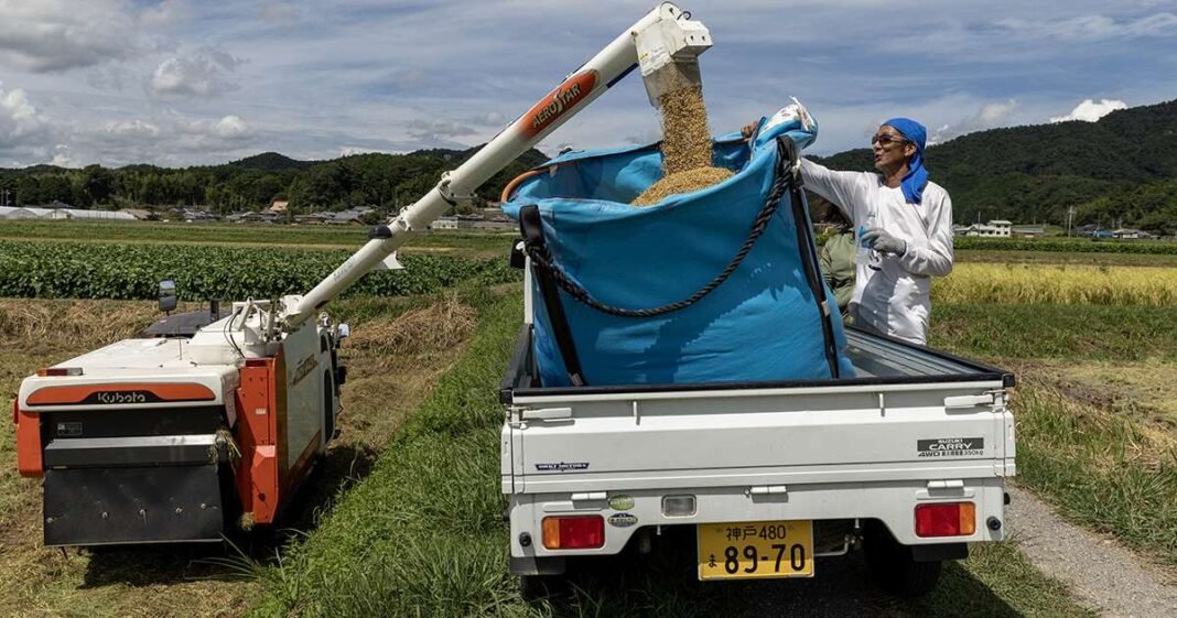 Trump Threatens to Impose Tariff on Japan Over Rice Exports