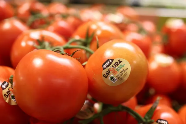 US installs 17% duty on tomatoes from Mexico