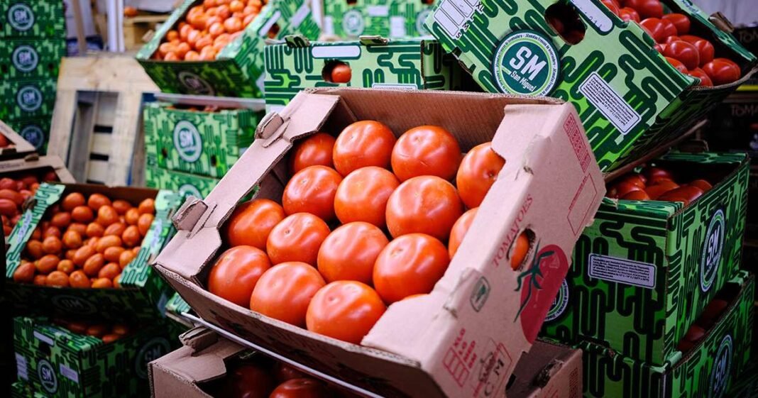 US to Inflict 17% Tariff on Mexican Tomato Imports