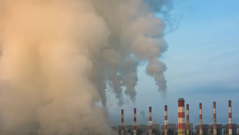 ‘False solutions’ undermine climate goals at Shein, Lululemon