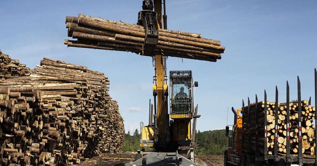Canada Lumber Aid Inflames US Subsidy Claims, Industry Says