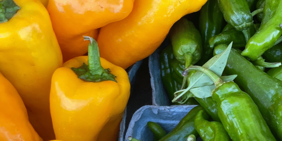 Revolutionizing the Global Food System: Kearney Report