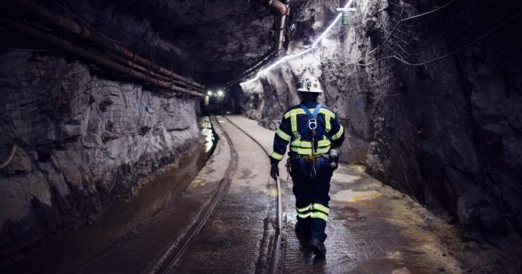 Trump Raises Stakes Over Copper Project With CEOs