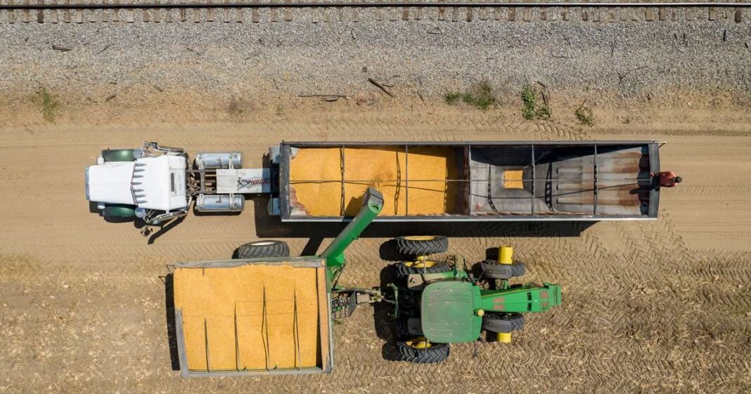 US Farm Trade Deficit Hits Record $28.6 Billion in 2025