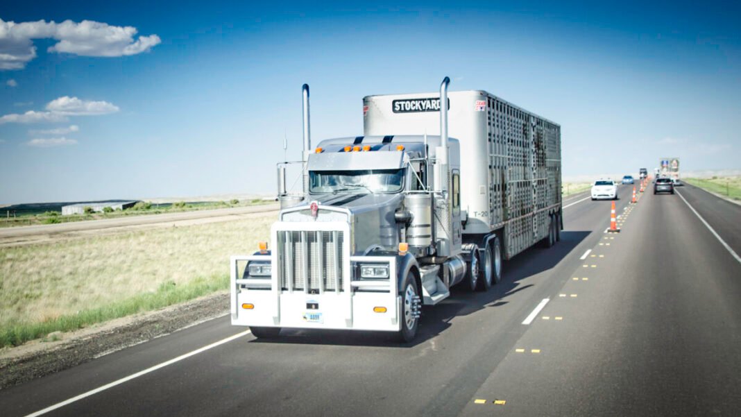 Bill targets trucking standards for hauling livestock