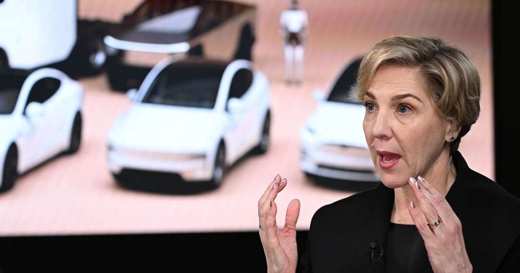 Tesla Chair Says Only Musk Can Lead Company’s Next Chapter