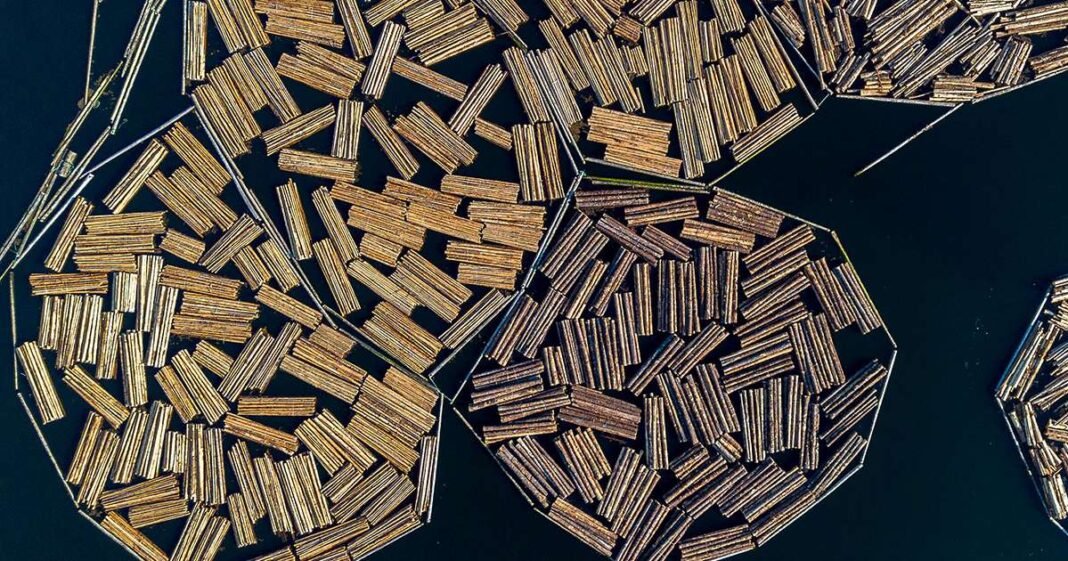 Trump Sets 10% Lumber, Wood Tariffs in Bid to Lift US Industry