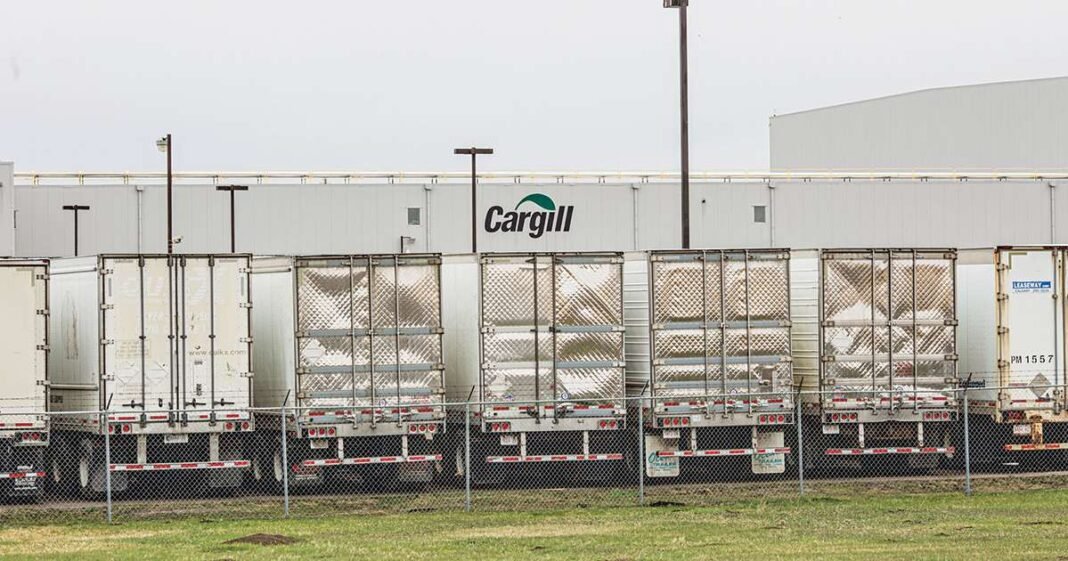 Cargill Taps AI to Get More Meat Off Bone as Cattle Herd Dives