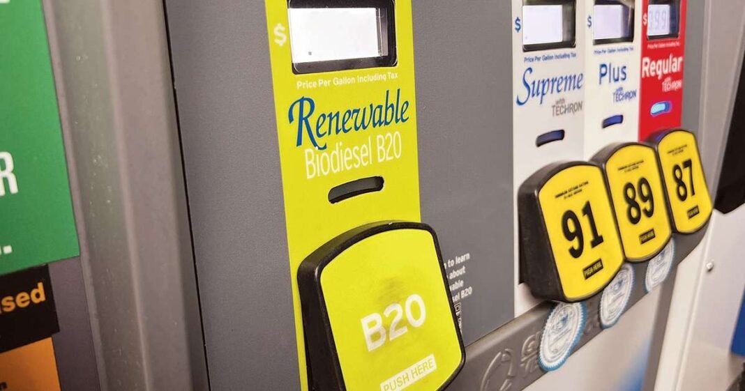 Carolina Renewable Products to Build $280M S.C. Plant