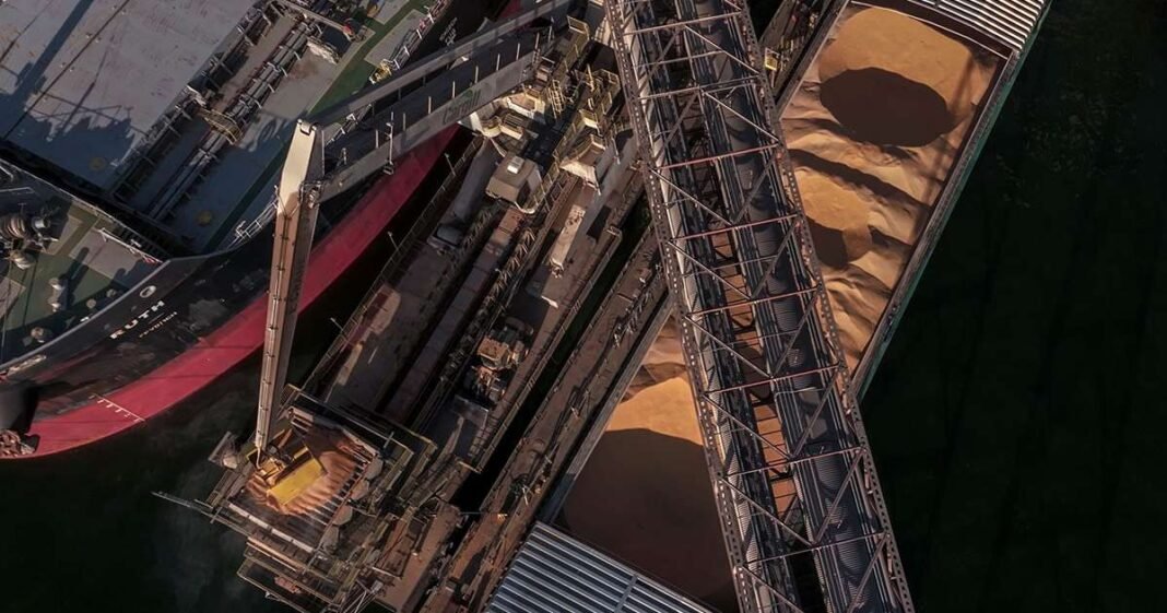 Soy Loses Gains as Trump Says Meeting With Xi May Not Happen