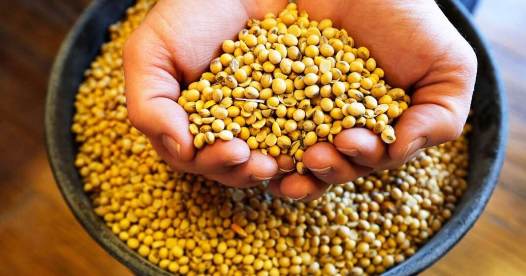 Soybeans Surge as US-China Talks Spur Hope for Trade Revival
