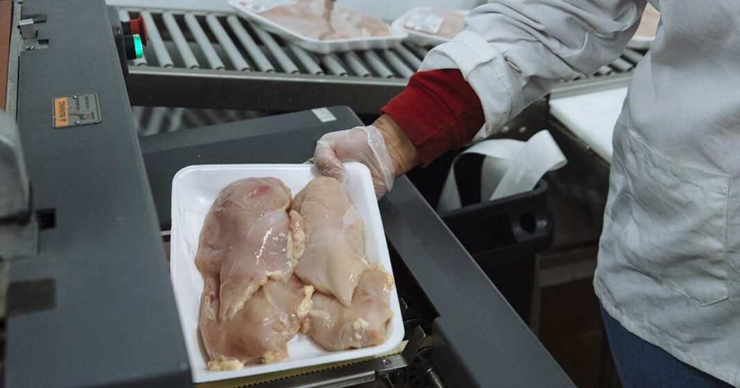 US Chicken Prices Fall 18% From Summer Peak