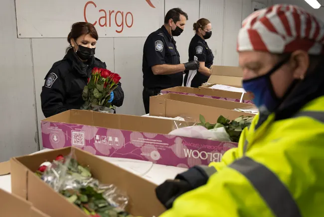 What shippers need to know about potential tariff refunds