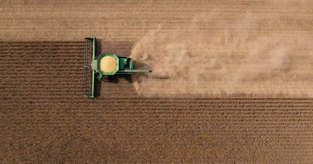 China Ramps Up Purchases of US Soybeans After Pause in Trade