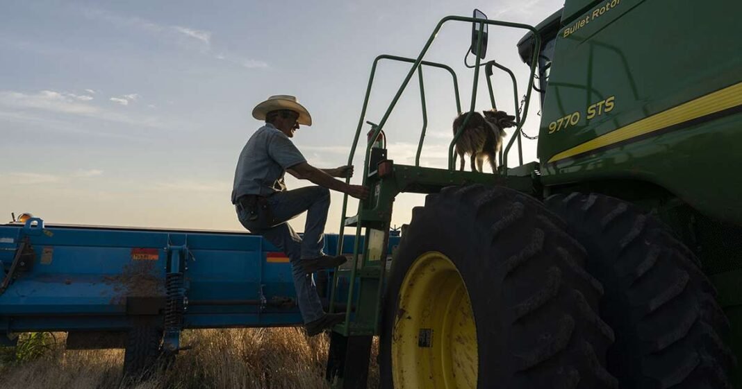 USDA to Announce Farm Relief Plan in Early December