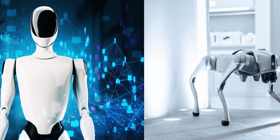 Report: automation sector sets safety standards for humanoid robots