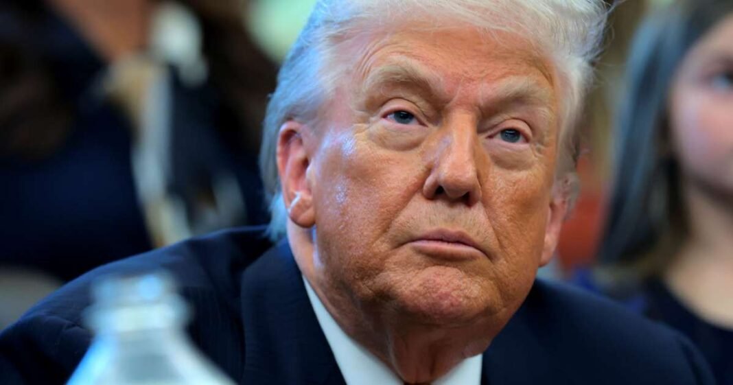 Trump Establishes Process to Secure Key Mineral Supplies