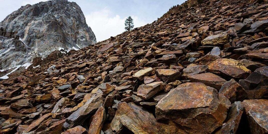 Critical mission: An interview with Brodie Sutherland