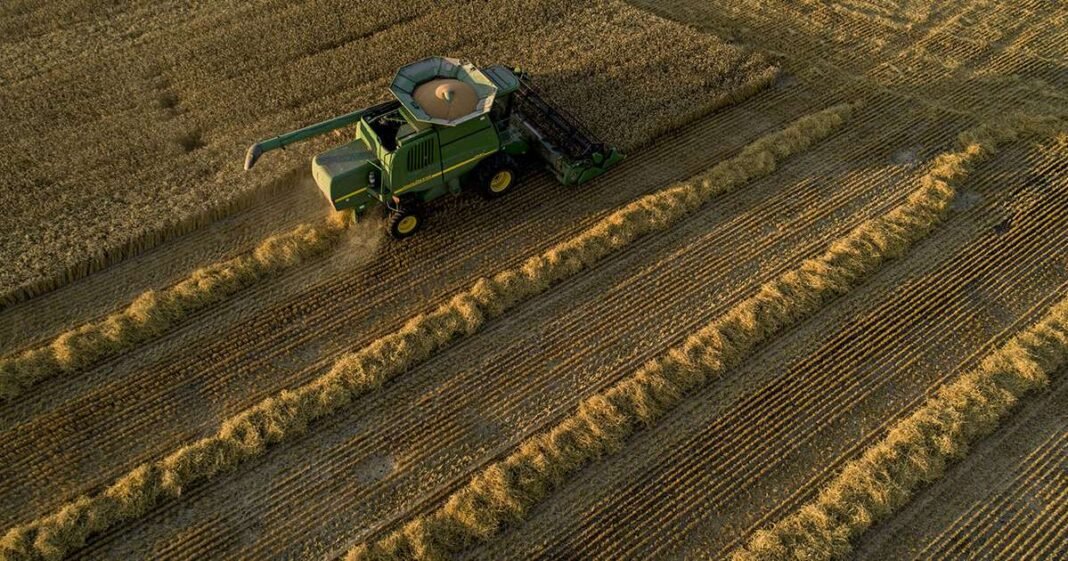 Israel Raises Wheat Levies to Woo US