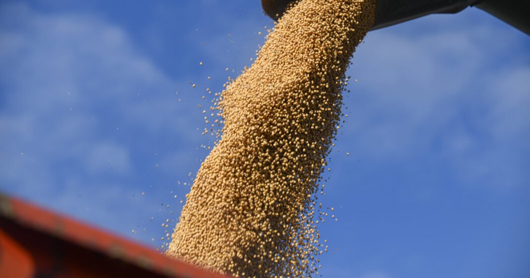 Soybean Oil Climbs to 2-Year High, Leads Commodity Rally